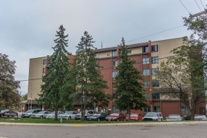 DSC04072