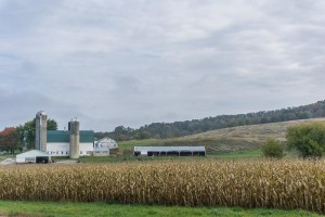 DSC04081