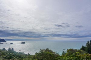 DSC04703