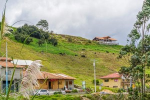 Area Houses