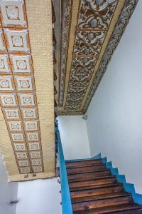 DSC07206