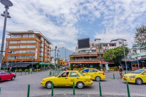 DSC07900