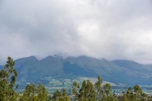 DSC08231
