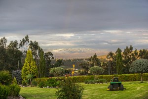 DSC08245