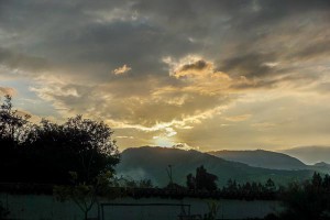 DSC08247