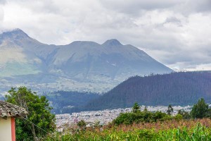 DSC08439