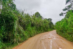 DSC08904
