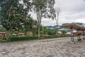 DSC08952