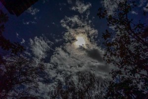 DSC09431