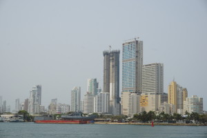 DSC01993