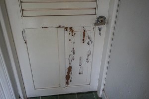 Termites ate our door